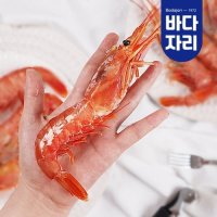 바다자리 아르헨티나 자연산 홍새우 L1사이즈 2kg