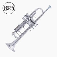 바하 Bb트럼펫 아티산 바흐트럼펫 BACH 트롬펫 전문가용 AB190S