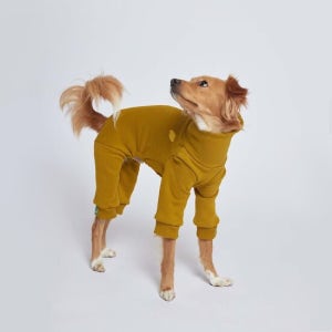 하트어스아트 Signature Embroidery Jumpsuit - Yuzu