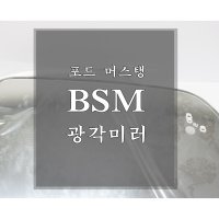 카카오파츠 순정금형적용 포드 머스탱 BSM광각미러  Y  N  1개