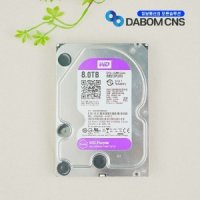 웨스턴디지탈 Purple 8TB HDD