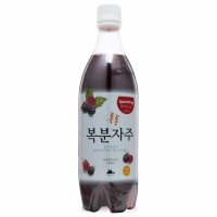 참주가 스파클링 톡톡복분자주 7도 750ml 복분자주