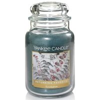 양키캔들 Yankee Candle Eucalyptus Classic Jar Candle Large Scented Large Green