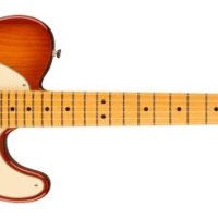 Fender 일렉트릭 American Professional II Telecaster Maple Fingerboard Sienna Sunburst