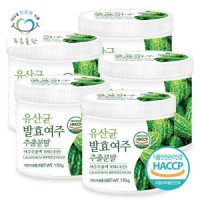 푸른들판 국산 발효 여주 추출물 추출 분말 가루 파우더 haccp 170gx5통