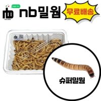 nb밀웜 살아있는 밀웜 생밀웜 - 슈퍼밀웜 단일 50마리