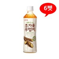 7101870 잘빠진 하루 초가을 우엉차 500mLx6펫