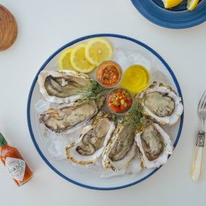 [크기/갯수선택]당일채취 수출용 삼배체굴 사계절 석화, 마이어니스트테이블