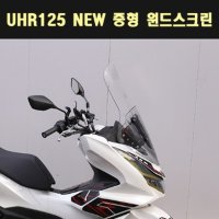 MSR NEW 중형 윈드스크린 VSX125 P7869