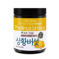 국산 상황버섯 분말 가루 110g