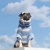 강아지 니트 조끼 뜨개 흰 구름 스웨터 애완 동물 의류 개 질 개 옷 의상
