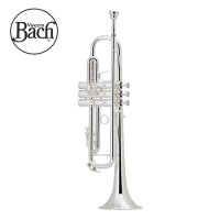 바하 Bb트럼펫 바흐트럼펫 BACH 트롬펫 어린이 LR180S37