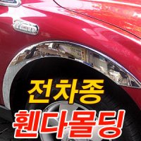 자동차 휀다몰딩 커버 휀다가드 액티언스포츠 카이런