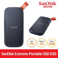 샌디스크 Portable SSD 1TB E30 (외장SSD)