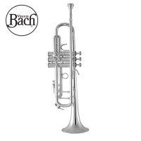 바하 Bb트럼펫 바흐트럼펫 BACH 트롬펫 전문가용 180S37