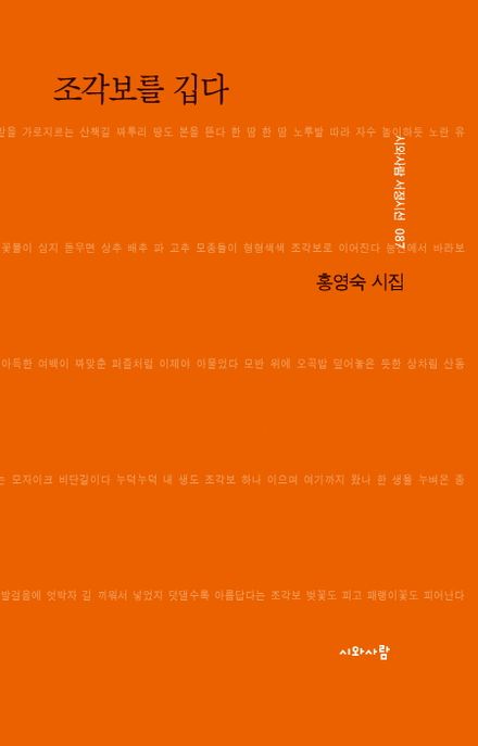 조각보를 깁다 (홍영숙 시집)