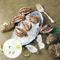 VIP 특특대 완도 활전복 6미 2kg 선물세트 (12마리내외, 마리당 165g 내외)