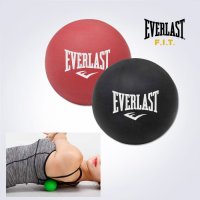 태화사 에버라스트 EVERLAST 닥터 머슬 마사지 볼