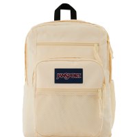 JANSPORT 빅 캠퍼스 학생 직장인 대용량 백팩 데이백 가방 JS0A47K87S1