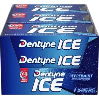 Dentyne ICE 덴타인 아이스 페퍼민트 미국껌 껌 무설탕 16개입 9팩