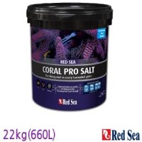 레드씨 red sea 코랄프로 해수염 22kg (660L)