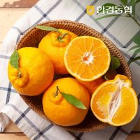 [산지직송][한경농협] 제주 한라봉 4kg 중과(15-19과)