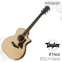 TAYLOR 테일러 814-ce 814ce(ES2, V-Class) 통기타