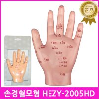 손모형HEZY-2005HD 손경혈모형 손혈자리모형 손실습모형 손실물모형 한의원 병원 손인체모형 손바닥 수지침 침자리 침교육모형 침술모형 경혈도 침구모형 침모형 실습자재 실습  1개