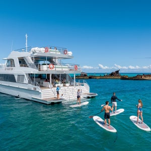 [E티켓 사용] 브리즈번&골드코스트 출발 돌고래&난파선 스노클링 크루즈