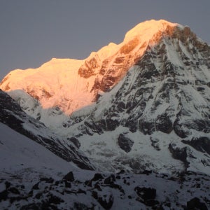 6박 7일 안나푸르나 베이스캠프 트레킹