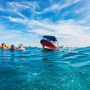 [E티켓 사용] 거북섬&투명 바닥 보트&맹그로브 크루즈