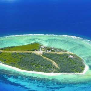 골드코스트 & 브리즈번 출발: 그레이트 배리어 리프 경비행 투어