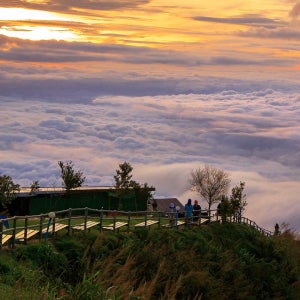 TTD 차량과 함께 떠나는 방콕 출발 2박 3일 카오코 전용 차량 투어