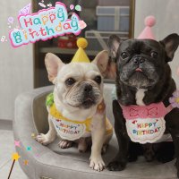 반려동물 강아지 고양이 생일 턱받이 케이프 펫 파티