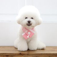 이츠독 강아지 고양이 애견 수선화 한복 케이프 스카프