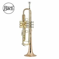 바하 트럼펫 Bb 트롬펫 악기케이스 bach trumpet LR19043B