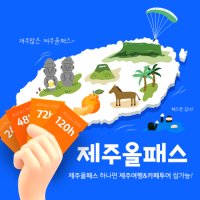 제주올패스 48시간 프리패스 / 제주도 여행 체험 관광지 실내 액티비티 카트 카페