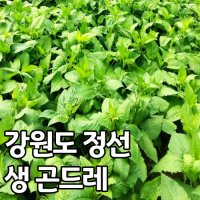 국산 강원도 정선 곤드레 나물 2kg 4kg  건 곤드레 나물_500g  1개