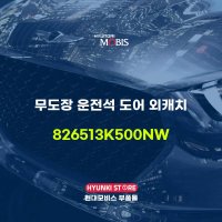 무도장 운전석 도어 외캐치 (826513K500NW)