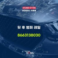 뒷 후 범퍼 레일 (8663138030)