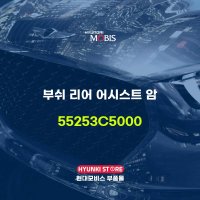 부쉬 리어 어시스트 암 (55253C5000)