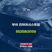 부쉬 리어어시스트암 (55258GI100)