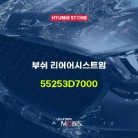 부쉬 리어어시스트암 (55253D7000)