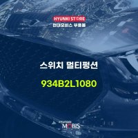 스위치 멀티펑션 (934B2L1080)