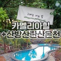 브이패스 제주 카멜리아힐+산방산탄산온천 / 제주도 포토존 수국 수목원 온천 힐링