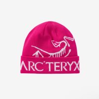 Arc teryx 아크테릭스 비니 워드 토크 신스