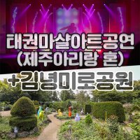 브이패스 태권 마샬아트 공연(제주아리랑 혼)+김녕미로공원 / 제주도 여행 체험 관광지 입장권