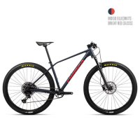 22 오베아 알마 H10 이글 MTB 렌탈