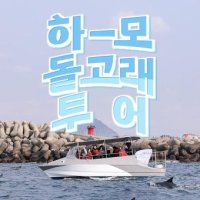 제주 하모 돌고래투어 이용권 (선셋투어 포함)