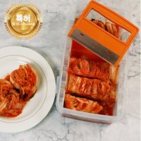 이지컷 김치 자르미 1/2포기 다용도 김치통 도마 보관용기